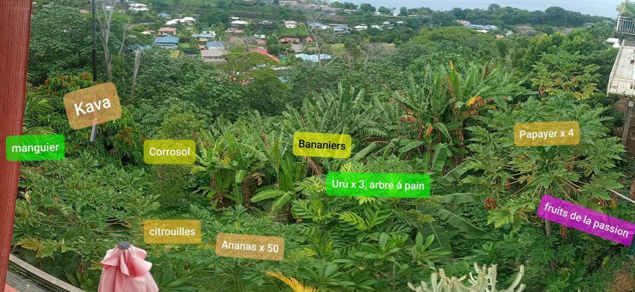 Manava Tahara'A Home Stay Mahina Exterior foto